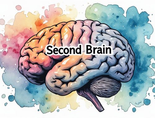 Second Brain